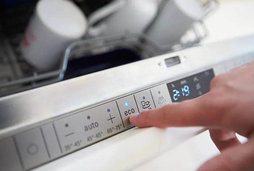 dishwasher appliance